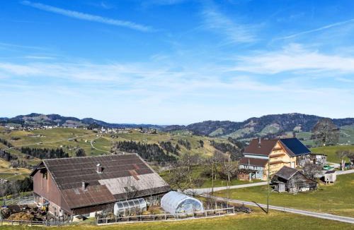 Hemberg Apartment | Apartment Ferienhof-Barenegg by Interhome