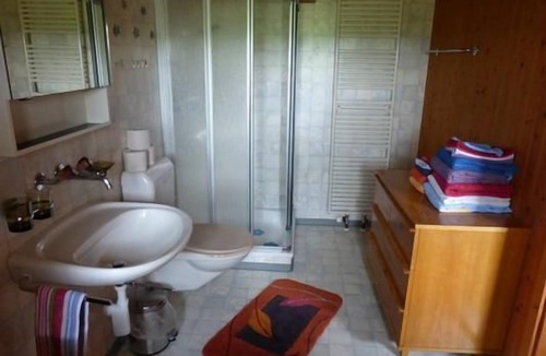 Hemberg Other | Apartment "Ferienhof-Barenegg"