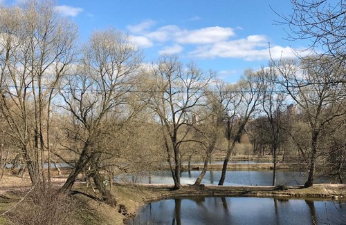 Chekhov Apartment | Apartment First