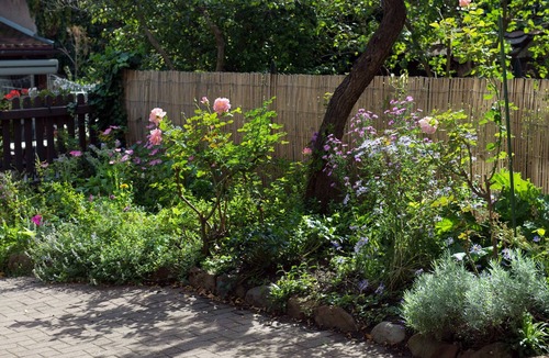 Colmar Centre Ville Apartment | Apartment/flat - COLMAR