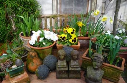 Chouze-sur-Loire Apartment | Apartment/flat - Chouze/loire