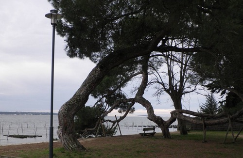 Le Canon Apartment | Apartment/ flat - Lege-cap-ferret