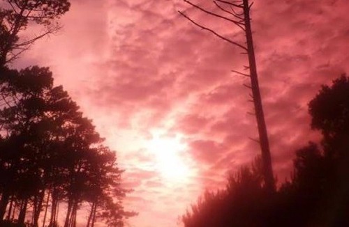 Le Canon Apartment | Apartment/ flat - Lege-cap-ferret