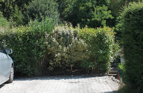 Aix-les-Bains Apartment | Apartment 'Au Cœur De La Riviera Des Alpes' with Lake View, Shared Pool and Wi-Fi