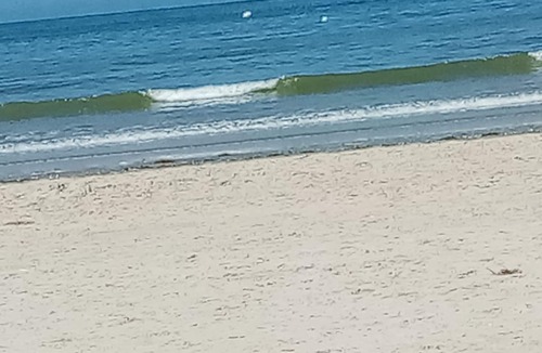 Camiers Apartment | Apartment