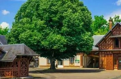 Neuvy-sur-Barangeon Villa | Apartment