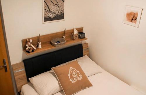 Moleson Apartment | Apartment Grande-Ourse 2 pièces 1027 by Interhome
