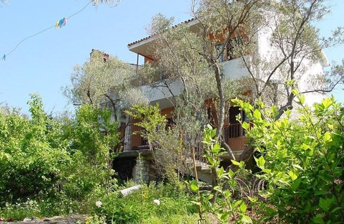 Valun Apartment | Apartment Griv (104071-A3) - Valun (Cres)