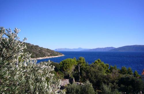 Valun Apartment | Apartment Griv
