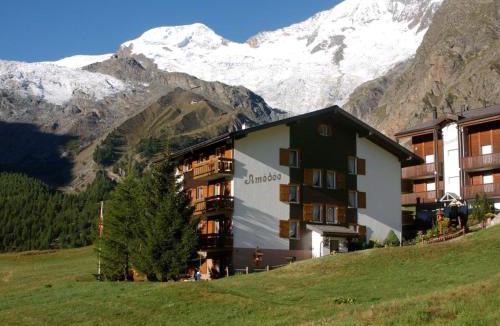 Saas-Fee Apartment | Apartment Haus Amedee by Interhome