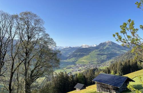 Zweisimmen Apartment | Apartment Heimersberg by Interhome