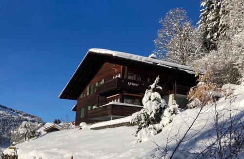 Wengen Apartment | Apartment Helene Apt-Diana by Interhome