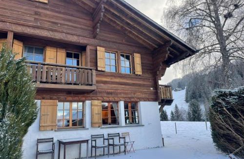 Schoenried Apartment | Apartment Hivernants Le Rez by Interhome