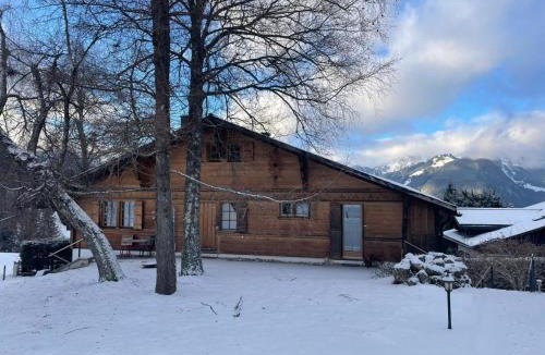 Schoenried Apartment | Apartment Hivernants Le Premier by Interhome