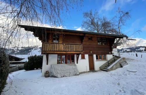 Schoenried Apartment | Apartment Hivernants Le Premier by Interhome