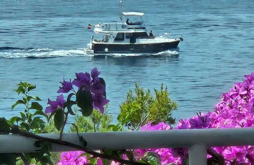 Susica Apartment | Apartment Branka (55391-A1) - Murter - island Murter