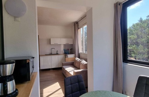 Plage d'Argeles Apartment | Apartment in a pine park with swimming pool - C3