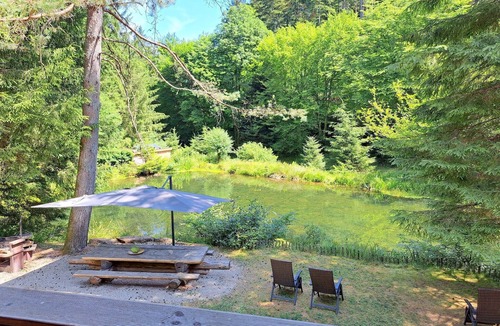 Pays de Phalsbourg Apartment | Apartment in Alsace with Private Terrace