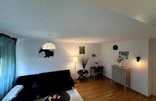 Baden Apartment | Apartment in Baden