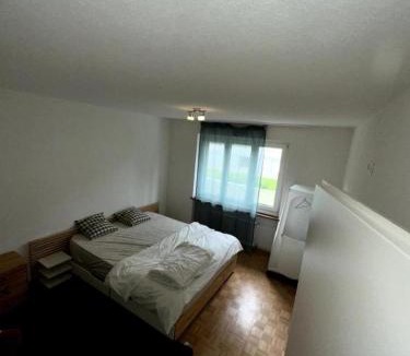 Baden Apartment | Apartment in Baden