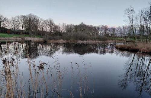 Grindsted Apartment | Apartment in green area