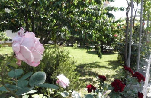 Lopar Apartment | Apartment in Lopar with Balcony, Air condition, WIFI, Washing machine (893-1)