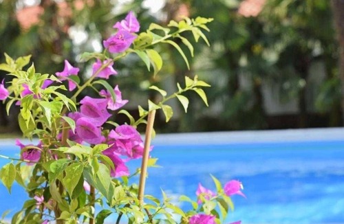 Mali Maj Apartment | Apartment in Poreč with Balcony, WIFI (819-4)