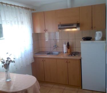 Privlaka Apartment | Apartment in Privlaka with sea view, terrace, air conditioning, WiFi 3591-2