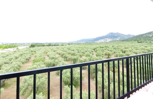 El Mas Oliva Apartment | Apartment in Roses with Sea Views & Pool