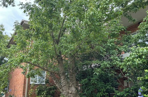 Toorak Apartment | Apartment in Toorak