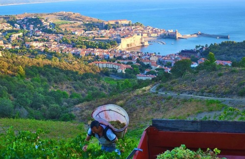 Saint-Andre Apartment | Apartment in villa, with swimming pool, sleeps 6 people