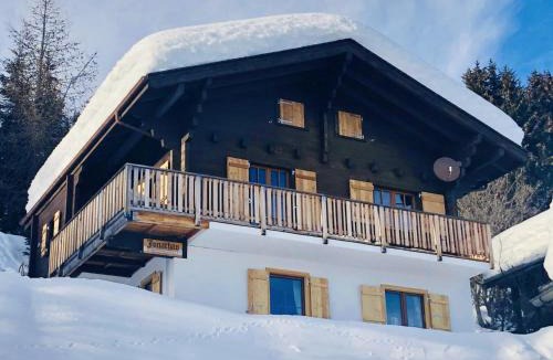 Riederalp Apartment | Apartment Jonathan EG Süd by Interhome