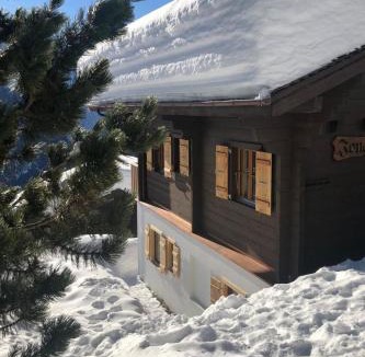Riederalp Apartment | Apartment Jonathan EG Süd by Interhome
