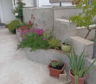 Risika Apartment | Apartment Josip