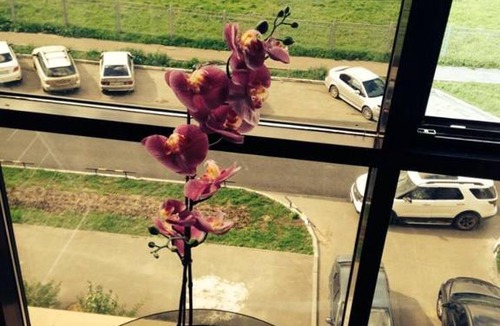 Sovetsky City District Apartment | Apartment Kareeva 10