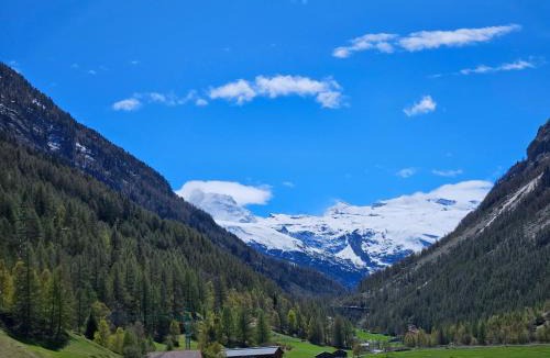Taesch Apartment | Apartment Klein Matterhorn - Haus Miranda