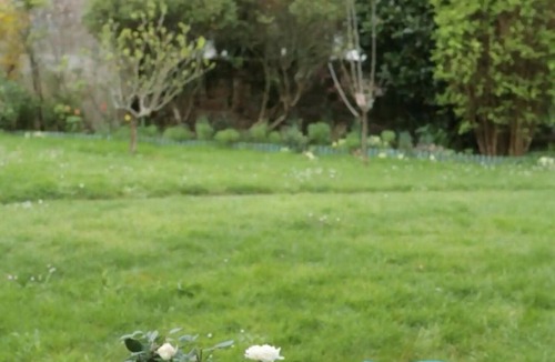 Sarzeau Apartment | Apartment 'L'avocette' with Shared Pool, Shared Terrace and Wi-Fi