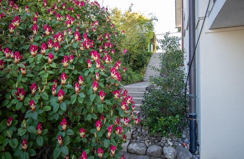 Goldach Apartment | Apartment Lake Constance panorama