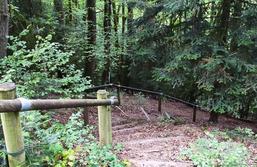 Forges-les-Bains Apartment | Apartment Leonie Duplex F4