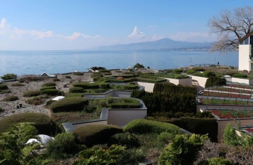 Villeneuve Apartment | Apartment Les Marines in Villeneuve - 4 persons, 2 bedrooms