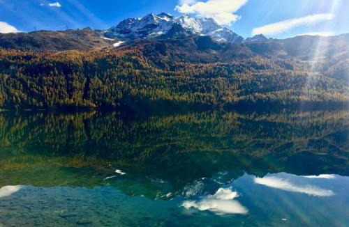 Sils-Maria Apartment | Apartment Maisonette Alpenrose by Interhome