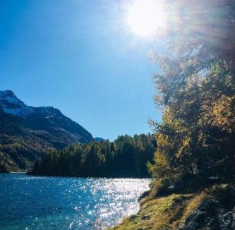 Sils-Maria Apartment | Apartment Maisonette Alpenrose by Interhome