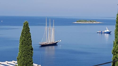 Cavtat Apartment | Apartment Miso