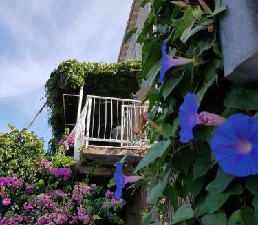 Cavtat Apartment | Apartment Miso