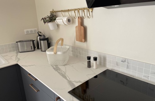 Wacquinghen Apartment | Apartment-Modern-Ensuite with Shower-Terrace-Le raffiné - RDC