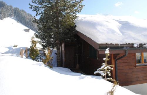 Adelboden Apartment | Apartment Nadeschda