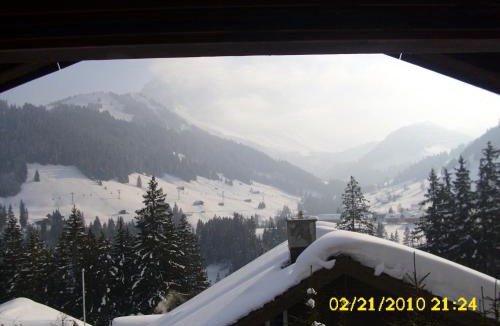 Adelboden Apartment | Apartment Nadeschda