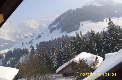 Adelboden Apartment | Apartment Nadeschda