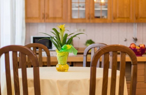 Seget Donji Apartment | Apartment near the beach with a large terrace