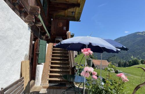 Zweisimmen Apartment | Apartment Obegghuus by Interhome